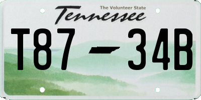 TN license plate T8734B