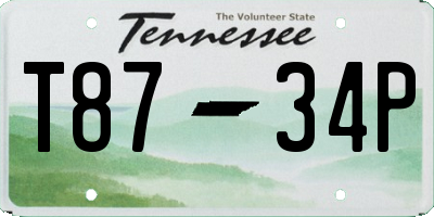 TN license plate T8734P