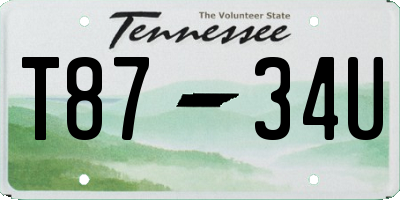 TN license plate T8734U