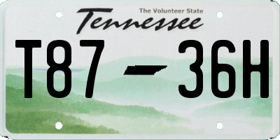 TN license plate T8736H