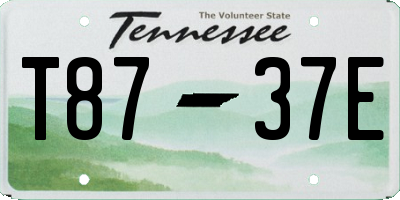 TN license plate T8737E