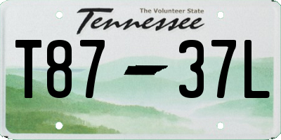 TN license plate T8737L