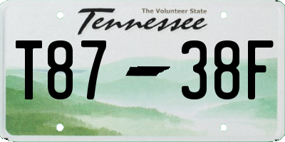 TN license plate T8738F
