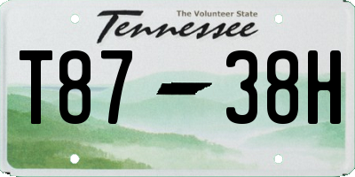 TN license plate T8738H