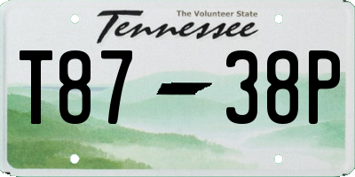 TN license plate T8738P
