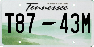 TN license plate T8743M