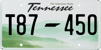 TN license plate T8745O
