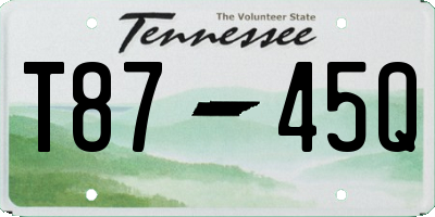 TN license plate T8745Q