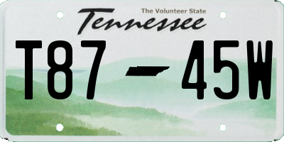 TN license plate T8745W
