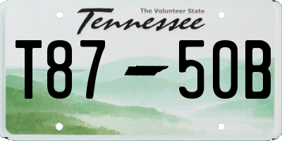 TN license plate T8750B