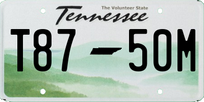 TN license plate T8750M