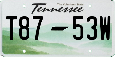 TN license plate T8753W