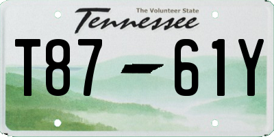 TN license plate T8761Y