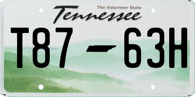 TN license plate T8763H