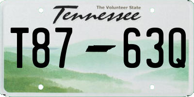 TN license plate T8763Q