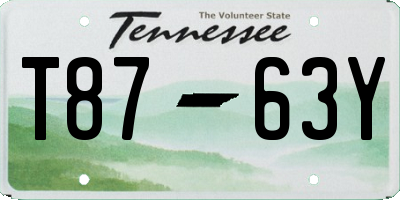 TN license plate T8763Y