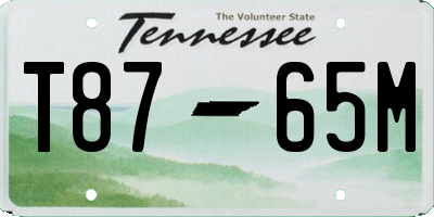 TN license plate T8765M