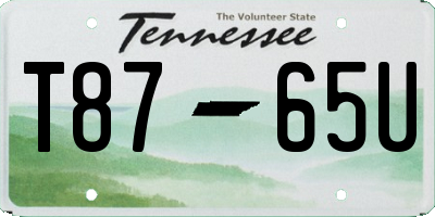 TN license plate T8765U