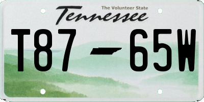 TN license plate T8765W