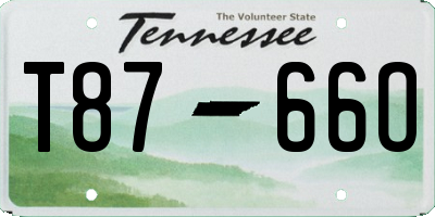 TN license plate T8766O