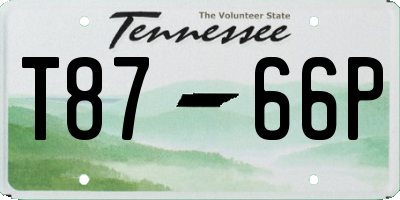 TN license plate T8766P
