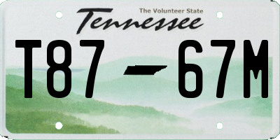 TN license plate T8767M