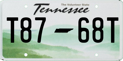 TN license plate T8768T
