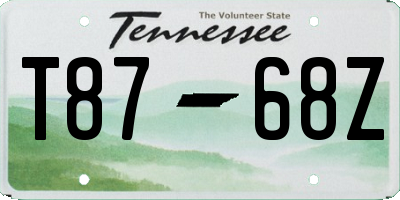 TN license plate T8768Z