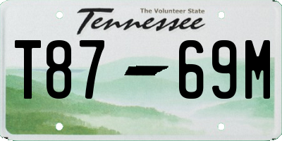 TN license plate T8769M