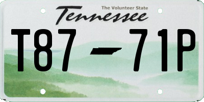 TN license plate T8771P