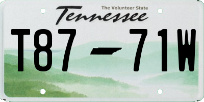 TN license plate T8771W