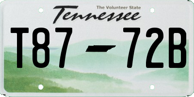 TN license plate T8772B