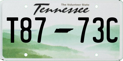 TN license plate T8773C