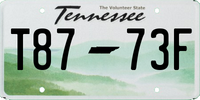 TN license plate T8773F