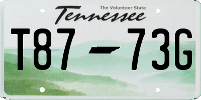 TN license plate T8773G