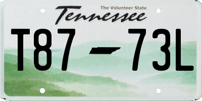 TN license plate T8773L