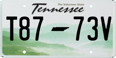 TN license plate T8773V