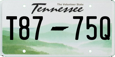 TN license plate T8775Q