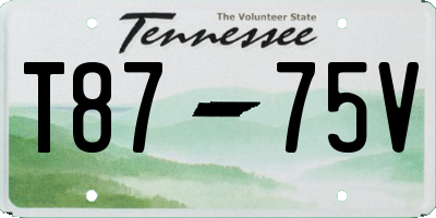 TN license plate T8775V