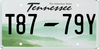 TN license plate T8779Y