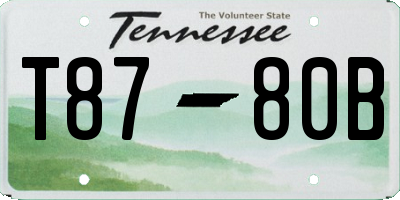 TN license plate T8780B