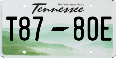 TN license plate T8780E