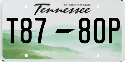 TN license plate T8780P