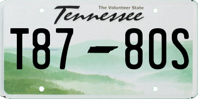 TN license plate T8780S
