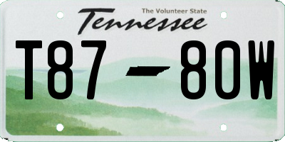 TN license plate T8780W