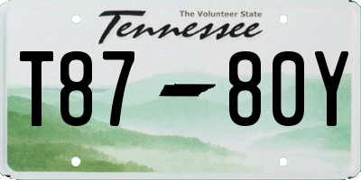 TN license plate T8780Y