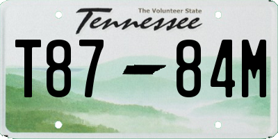 TN license plate T8784M