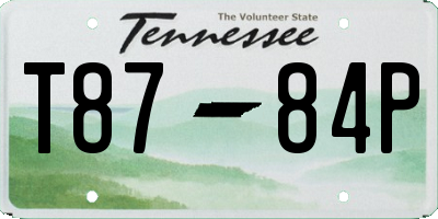 TN license plate T8784P