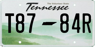 TN license plate T8784R