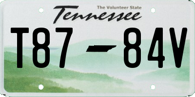 TN license plate T8784V